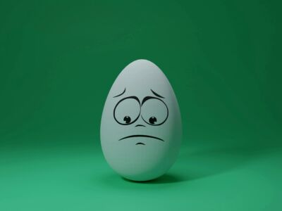 1579 Egg cartoon